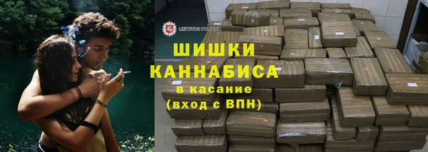 прущие грибы Богданович