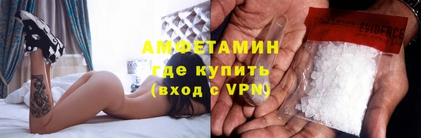 прущие грибы Бронницы