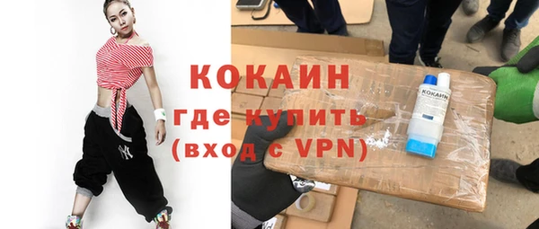 прущие грибы Бронницы