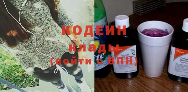 прущие грибы Богданович
