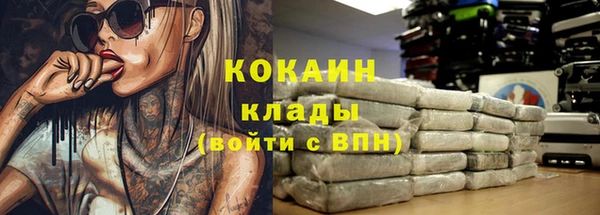 прущие грибы Богданович