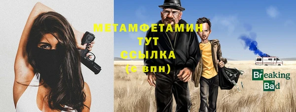 прущие грибы Богданович